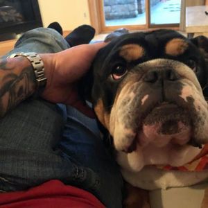 Meet your Posher, Chris